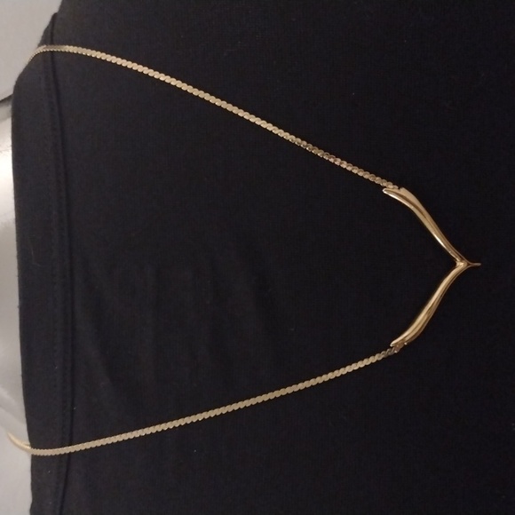 Michele Lynn - Picture 7 of 7